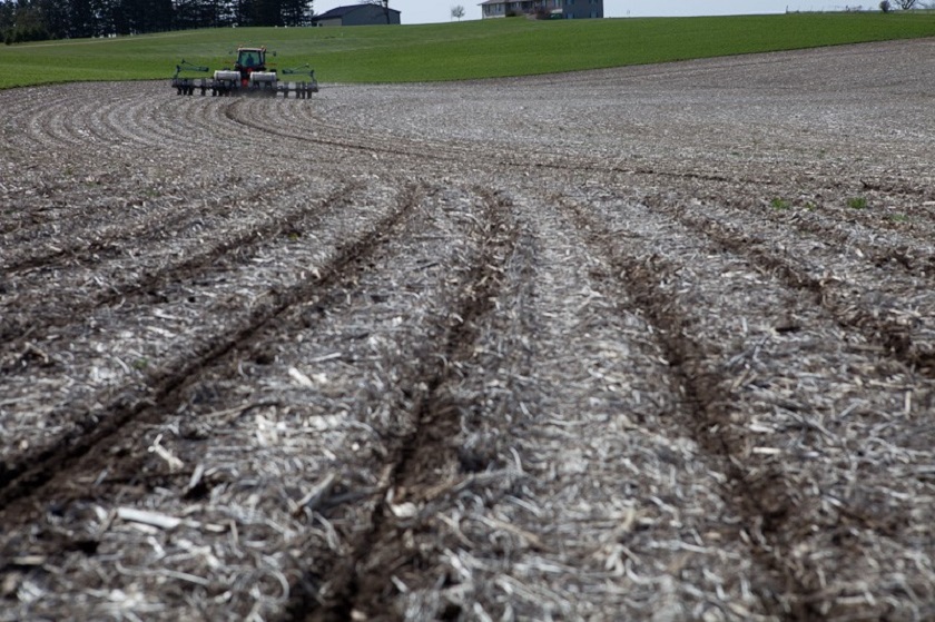 Five reasons to plant a plot